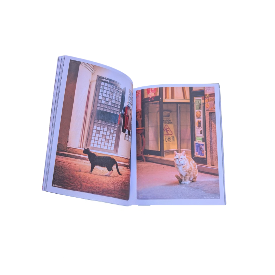 香港街貓（圖輯）- Gorna Kuma