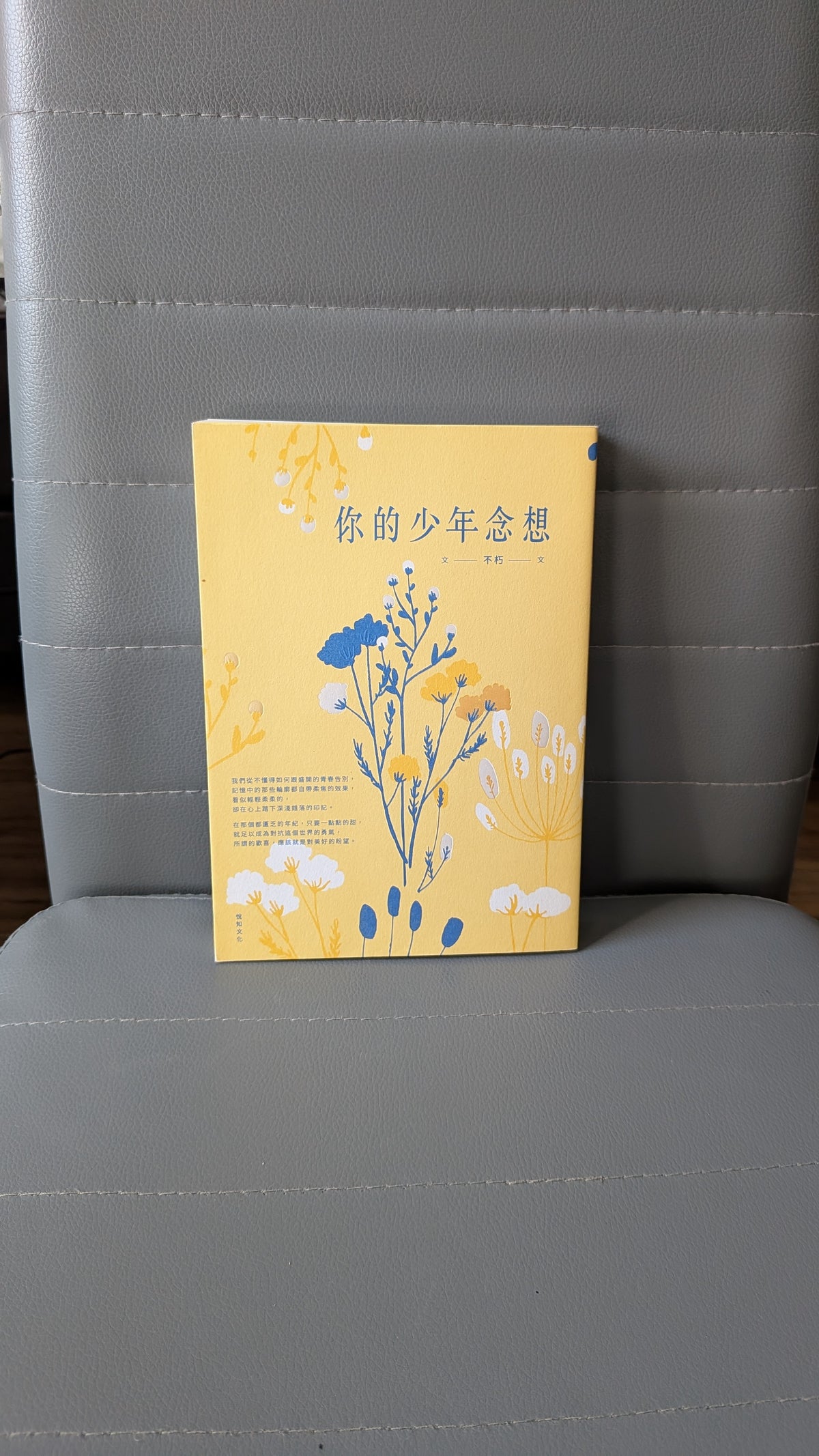 你的少年念想 - 不朽