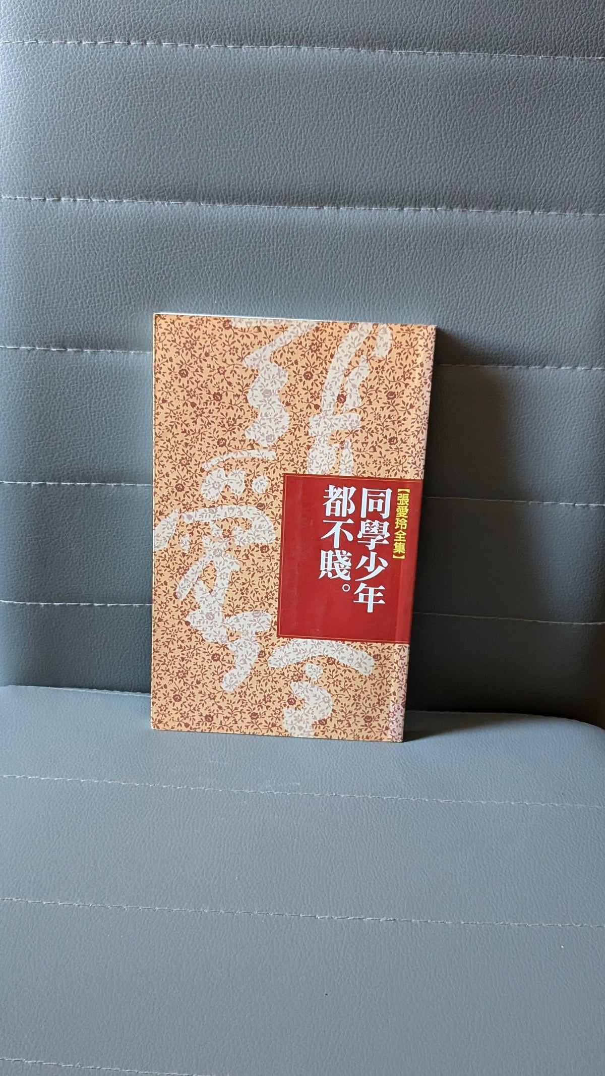 同學少年都不賤 - 張愛玲