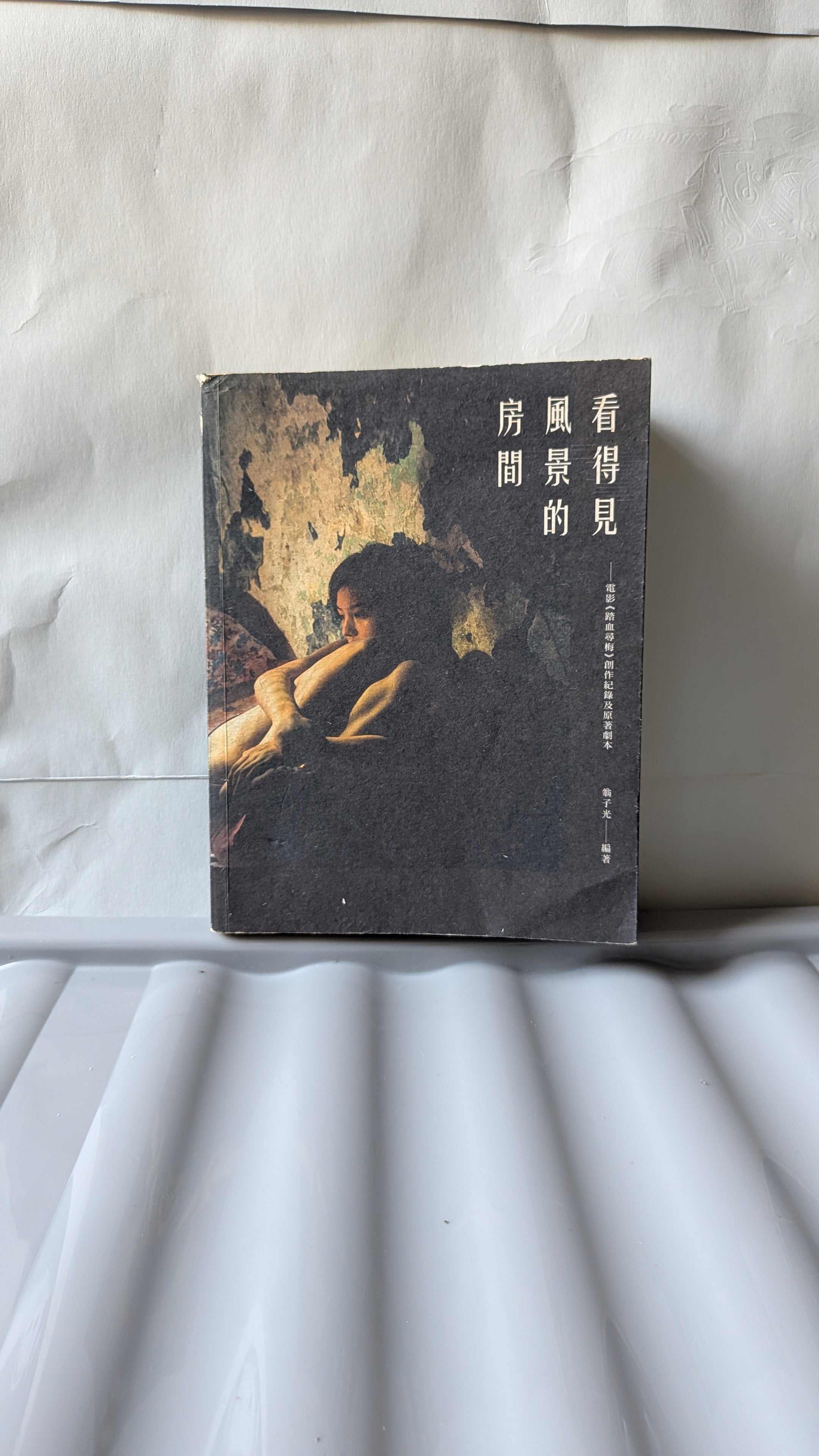 看得見風景的房間——電影《踏血尋梅》創作紀錄及原著劇本》- 翁子光